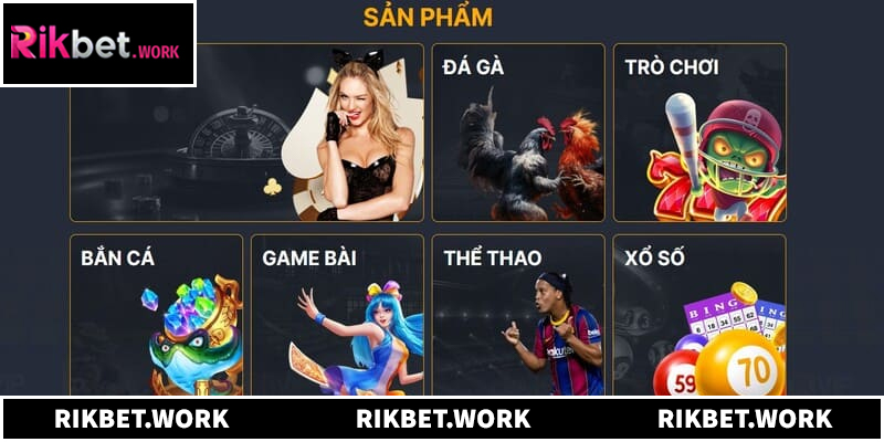 Hệ sinh thái cá cược đa dạng và hấp dẫn
